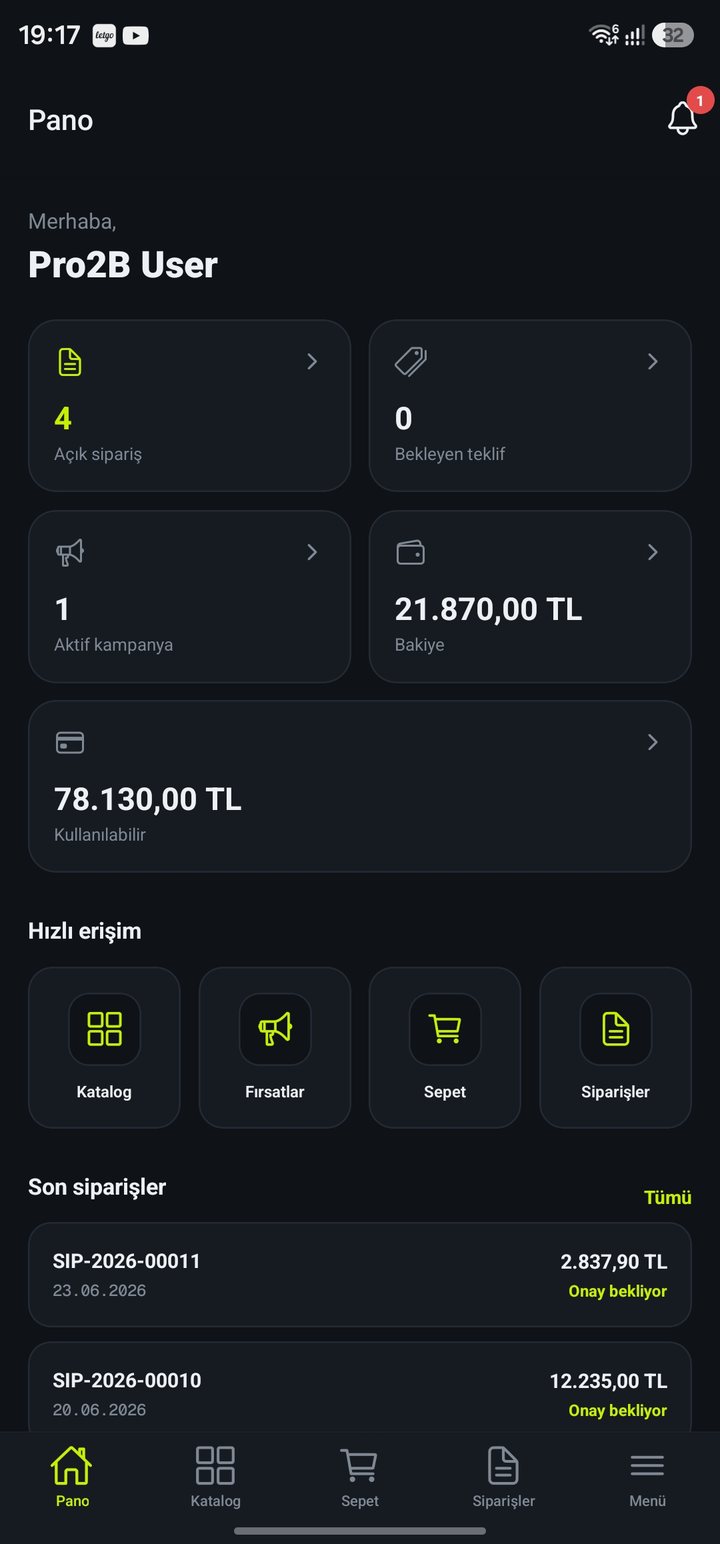 Pro2B pano ekranı